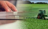 پرداخت 976 هزار میلیارد ریال تسهیلات به فناوری‌های نوین کشاورزی